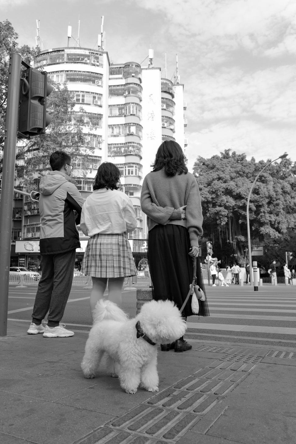 Harbourfront Pedestrian Plaza